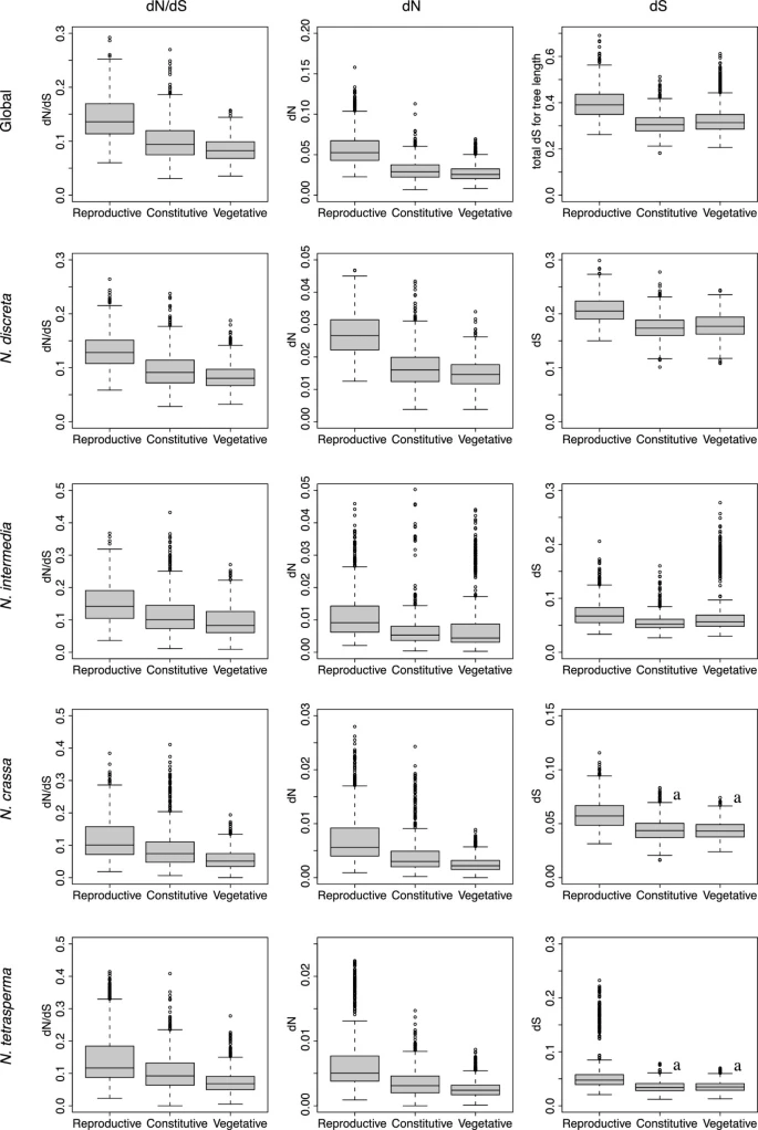 Analyses of expressed sequence tags in Neurosporareveal rapid evolution of genes associated with the early stages of sexual reproduction in fungi