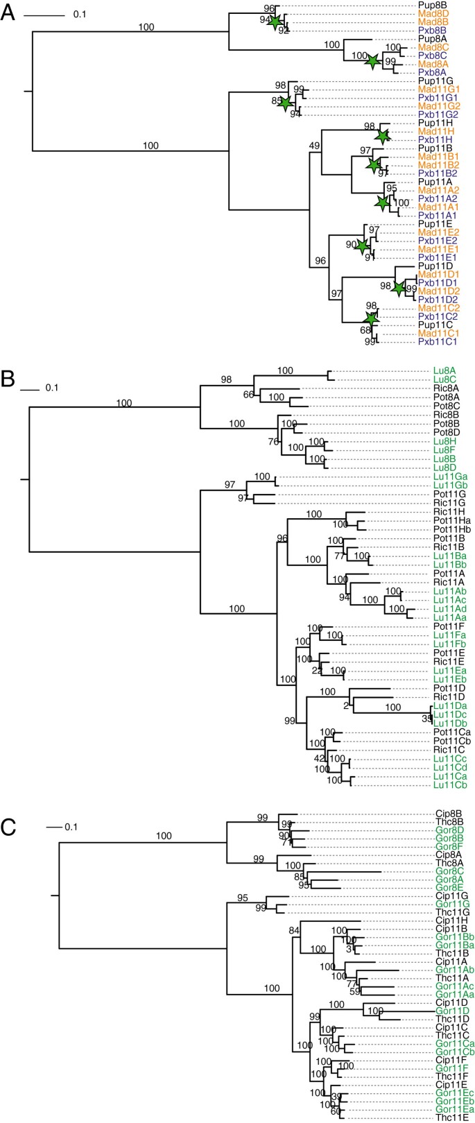 figure 11