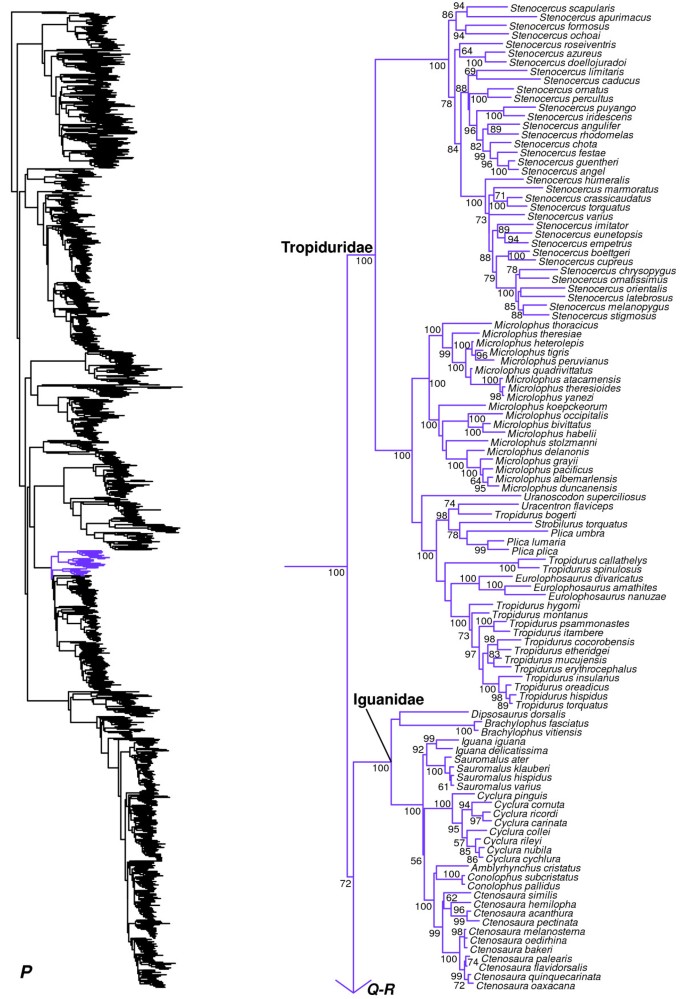 figure 17