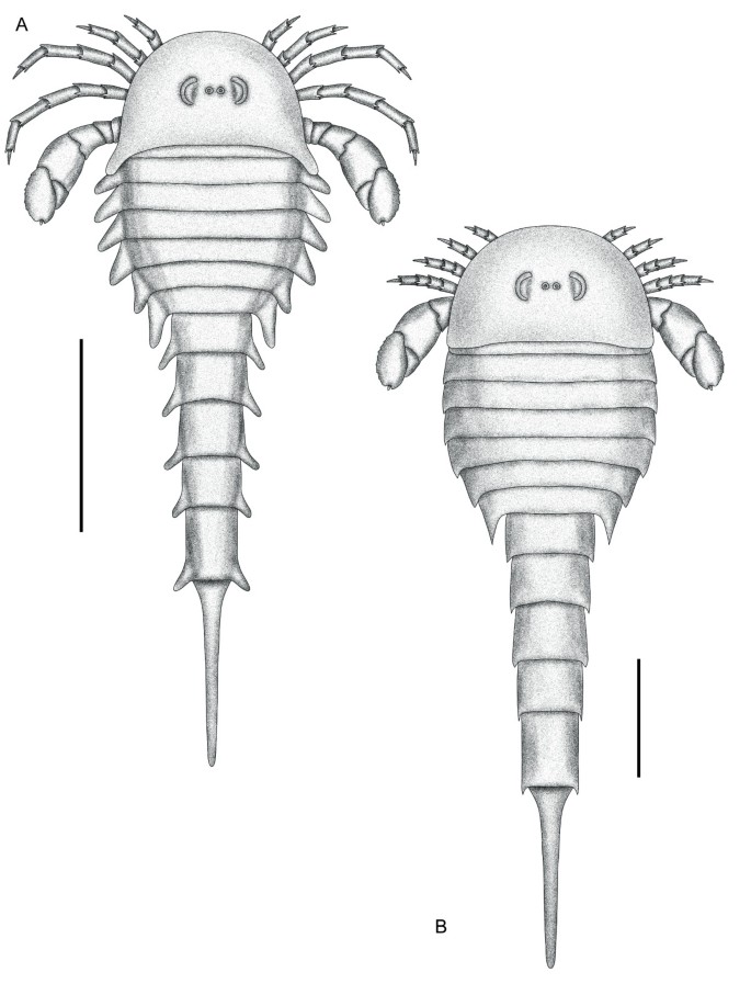 figure 26