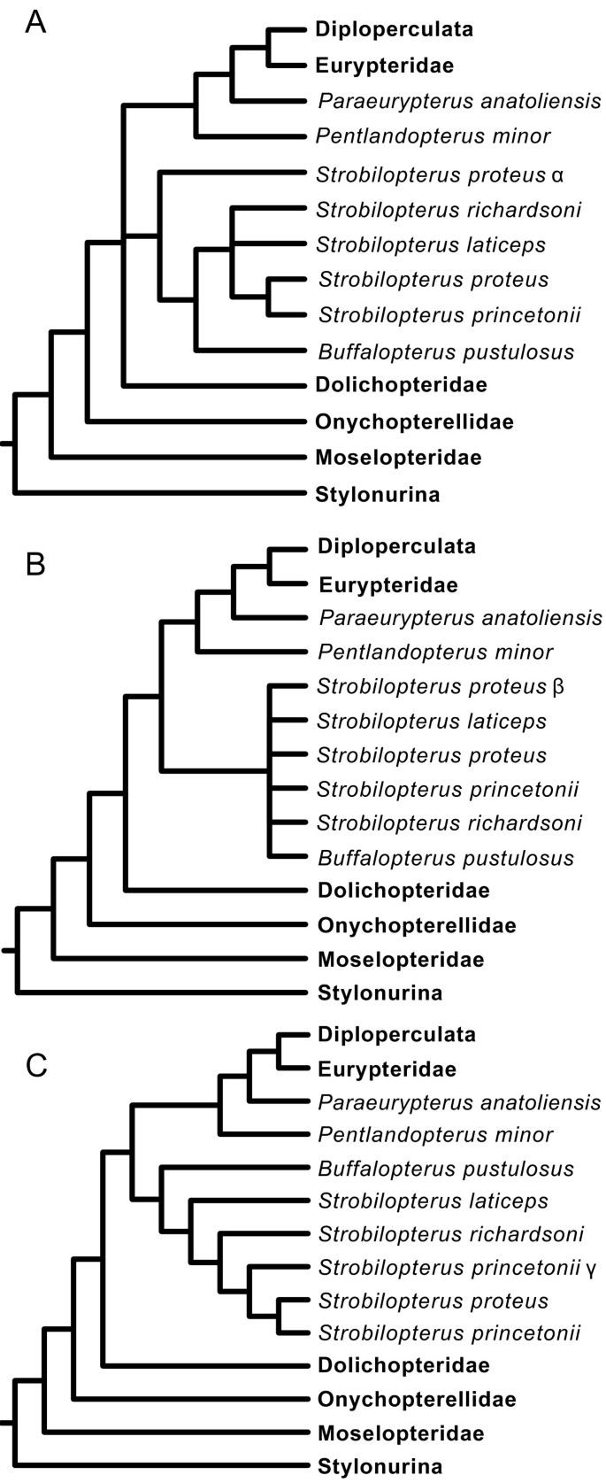 figure 29