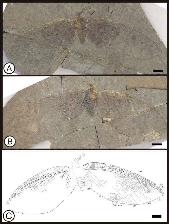 figure 15