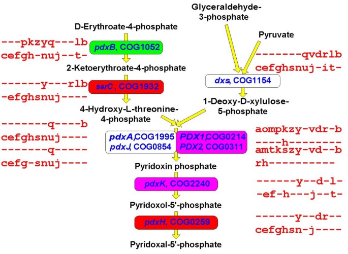 figure 12