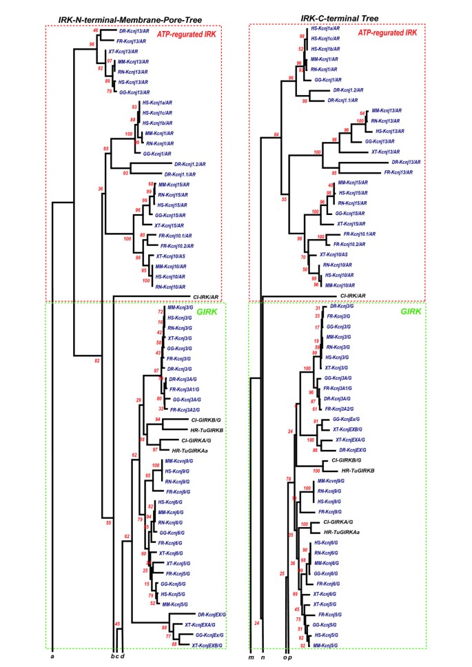 figure 18