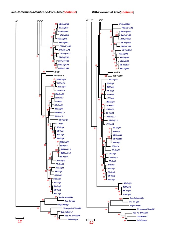 figure 19