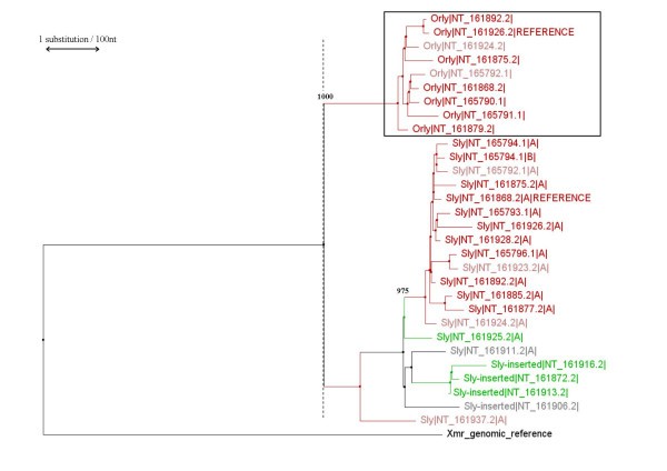 figure 14