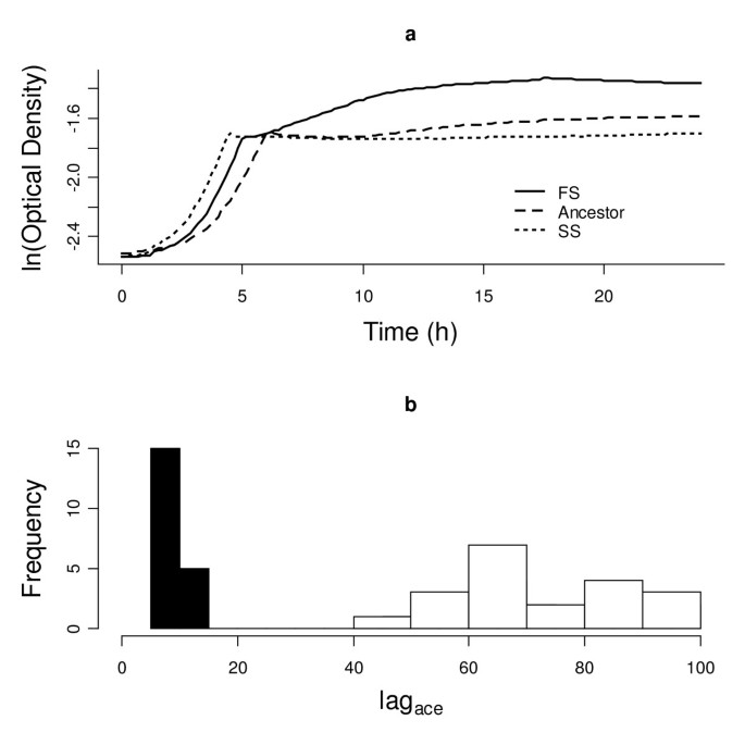 hypothesis character displacement figure 1
