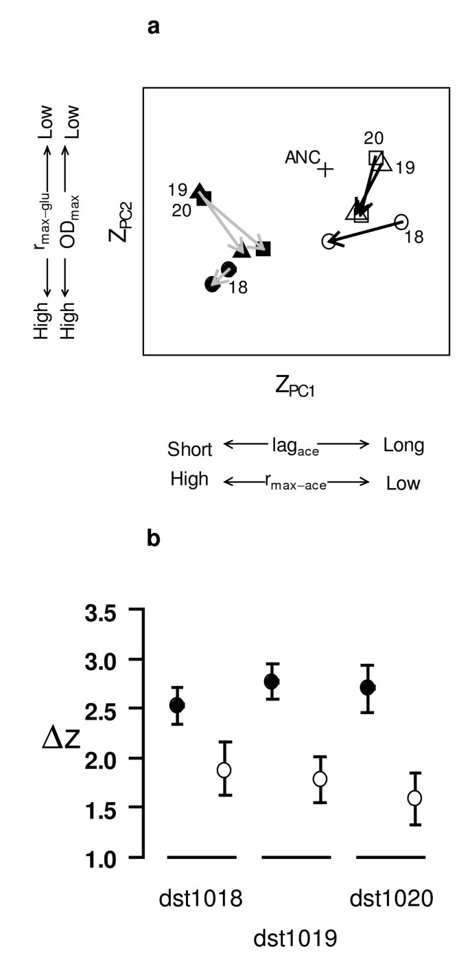 hypothesis character displacement figure 2