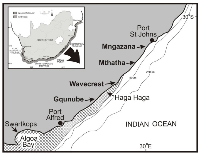 Oceanic dispersal barriers, adaptation and larval retention: an interdisciplinary assessment of potential factors maintaining a phylogeographic break between sister lineages of an African prawn | BMC Ecology and Evolution | Full Text Oceanic dispersal barriers, adaptation and larval retention: an interdisciplinary assessment of potential factors maintaining a phylogeographic break between sister lineages of an African prawn | BMC Ecology and Evolution | Full Text