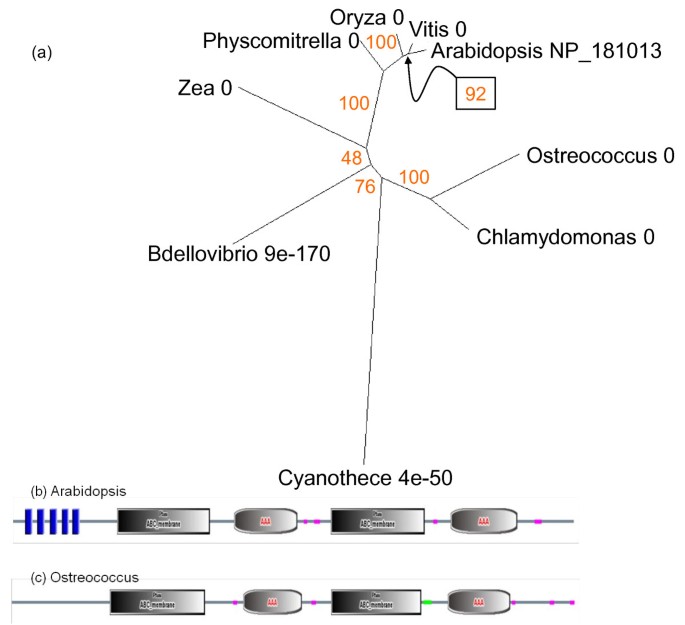 figure 18