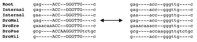 figure 8