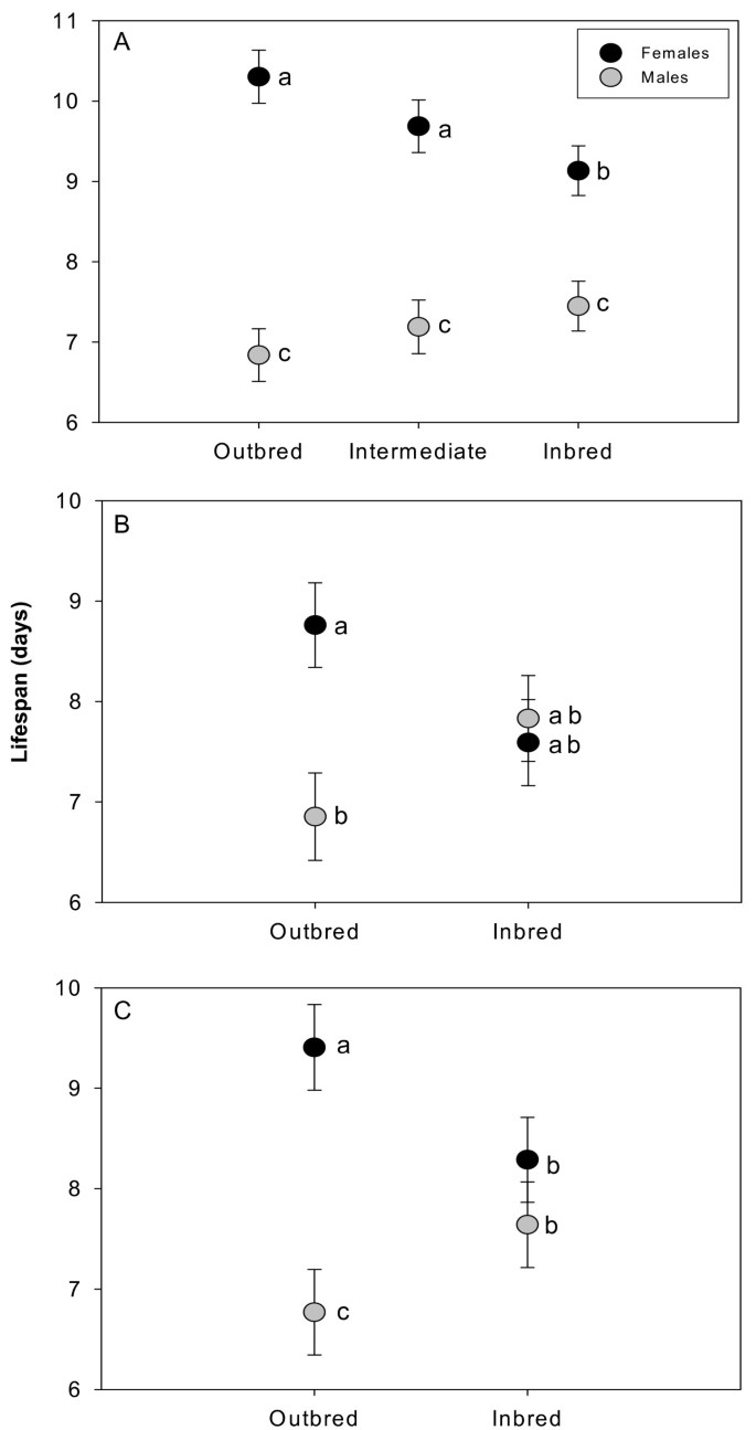 Sex differences in the genetic architecture of lifespan in a seed beetle:  extreme inbreeding extends male lifespan | BMC Ecology and Evolution | Full  Text