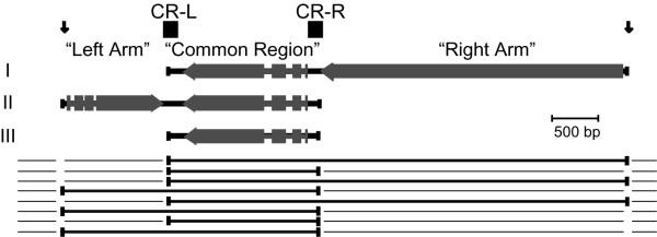 figure 1_42