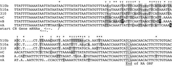 figure 4_42