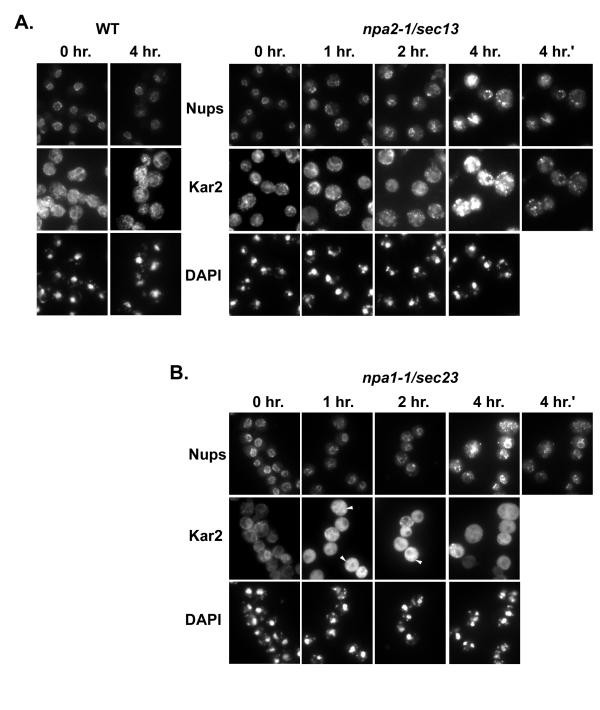 figure 6_43