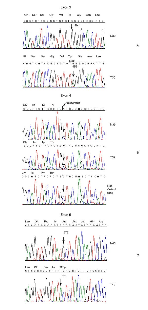 figure 7_46