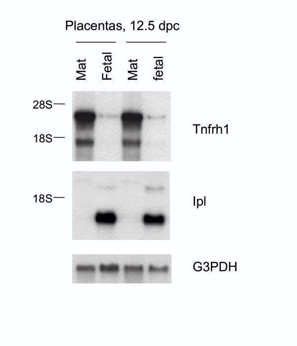 figure 5_37