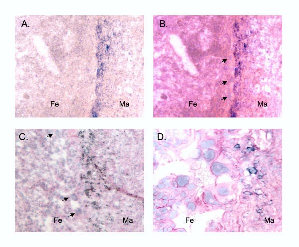 figure 6_37