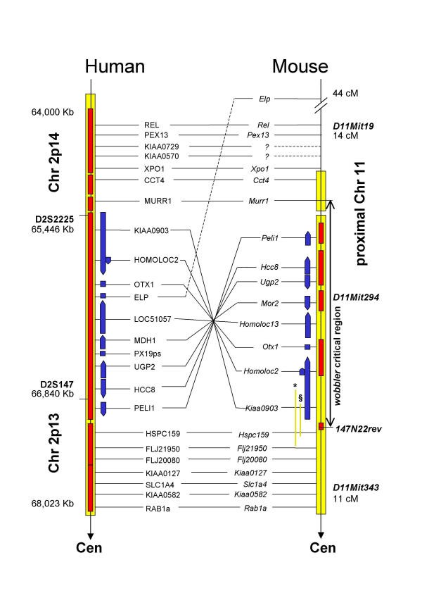 figure 1_40