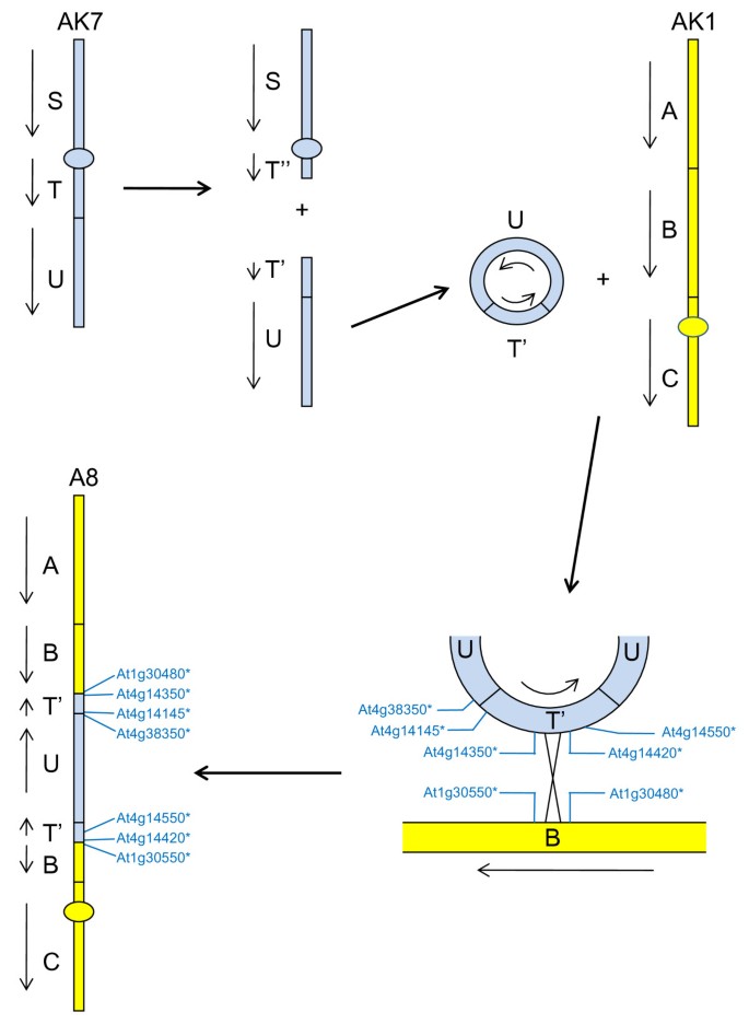 figure 9