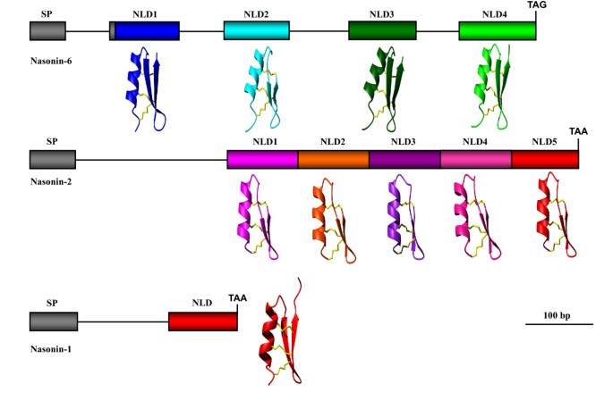 figure 11