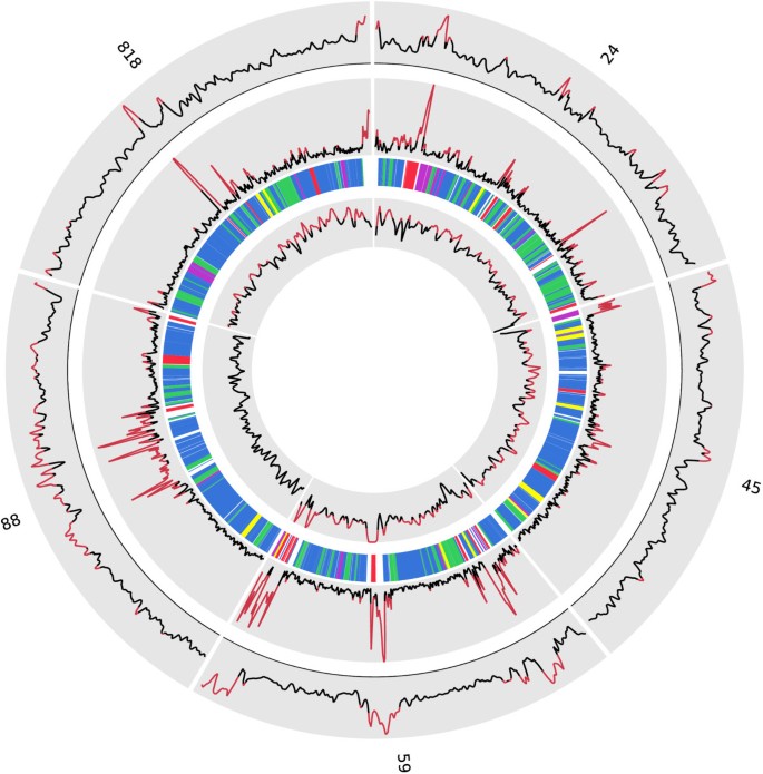 giardia genome size tabletta ascaris és lamblia