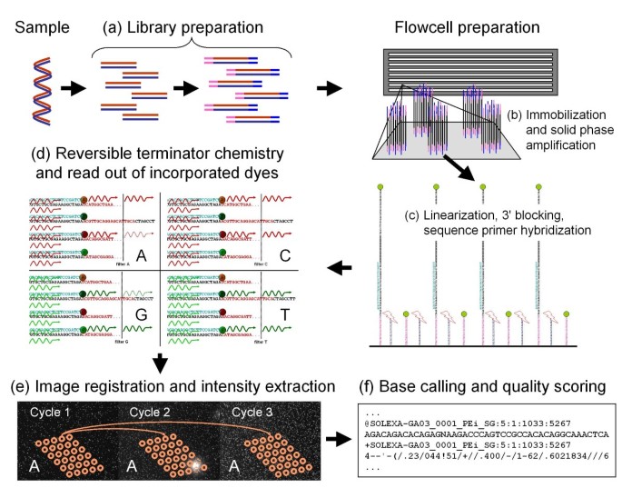 bmc genomics biomed central