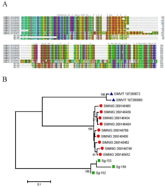 figure 11