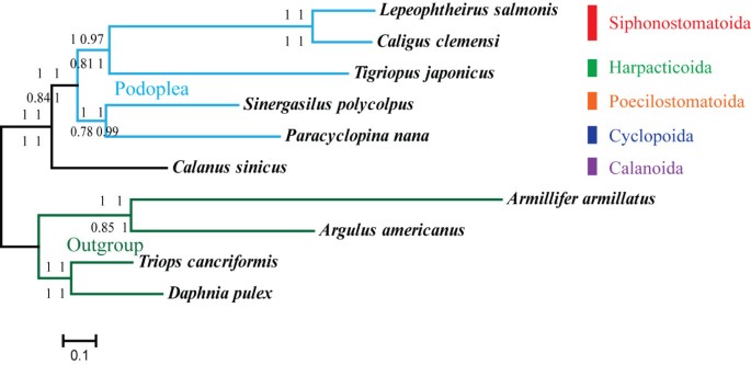 figure 9