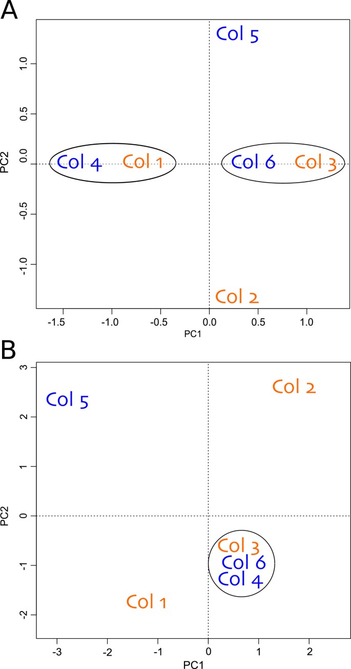 High Natural Gene Expression Variation In The Reef Building