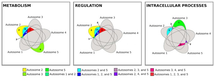 figure 8