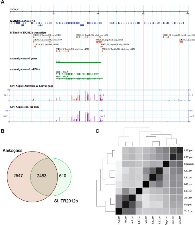 Establishment and analysis of a reference transcriptome for ...