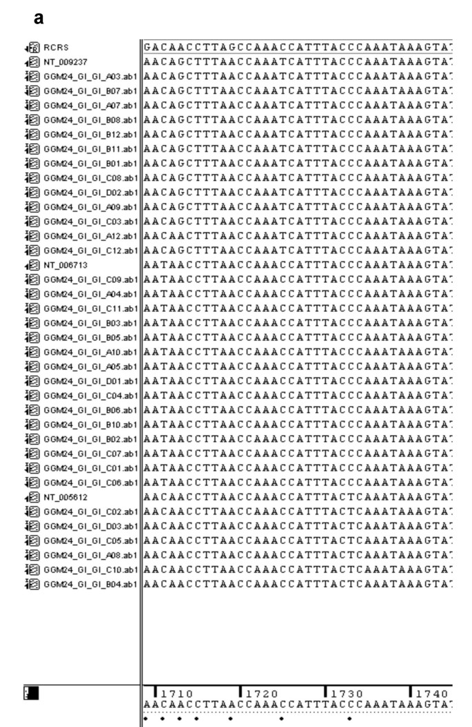 The Pseudo Mitochondrial Genome Influences Mistakes In Heteroplasmy Interpretation Bmc Genomics Full Text