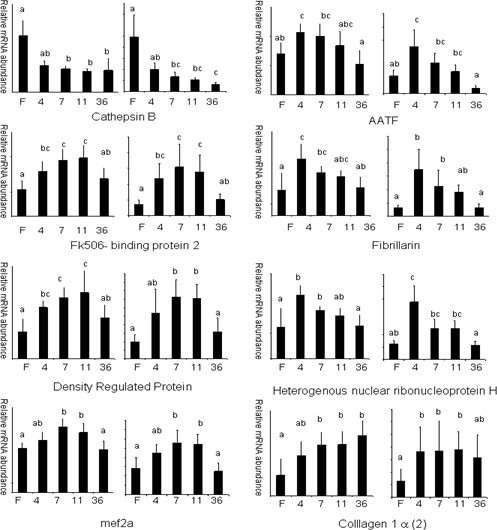 figure 14