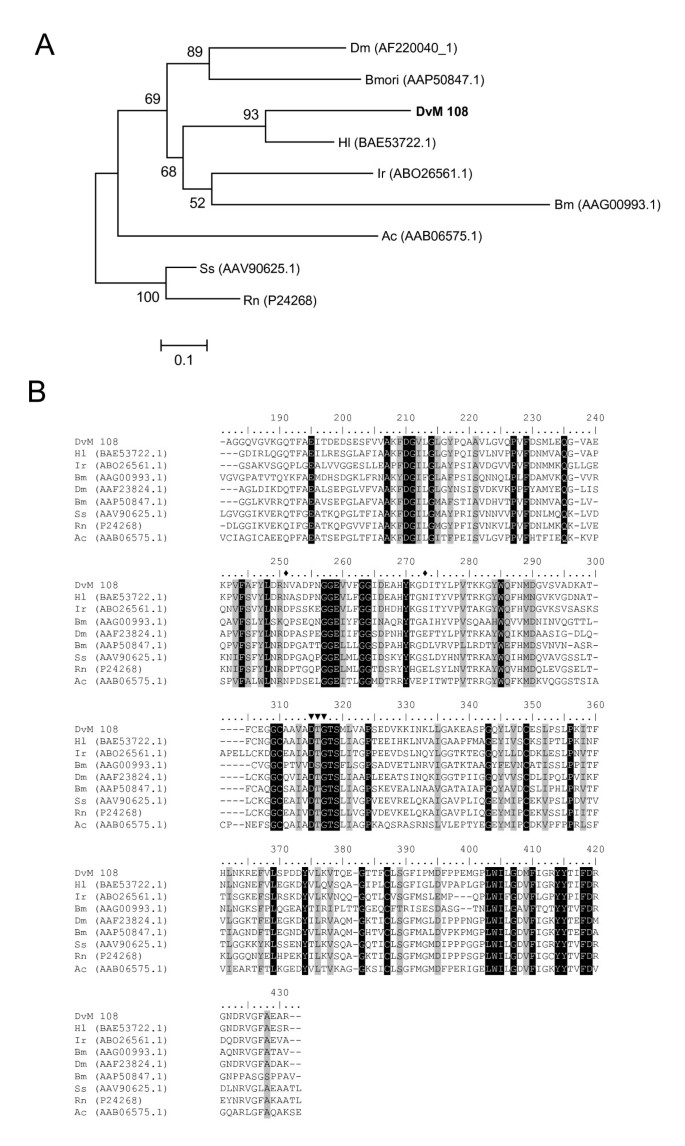 figure 14