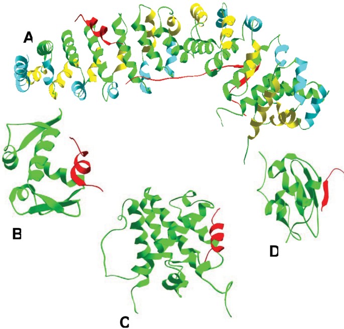 figure 11