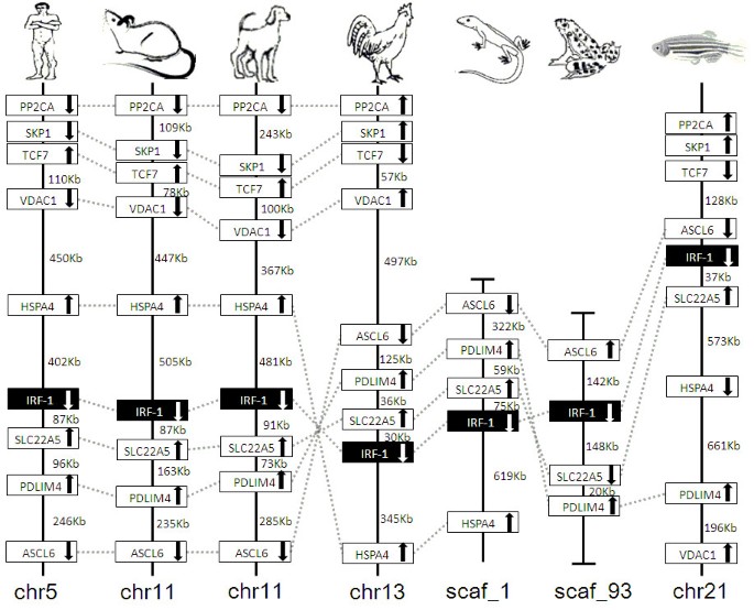 figure 16