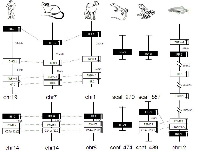 figure 18