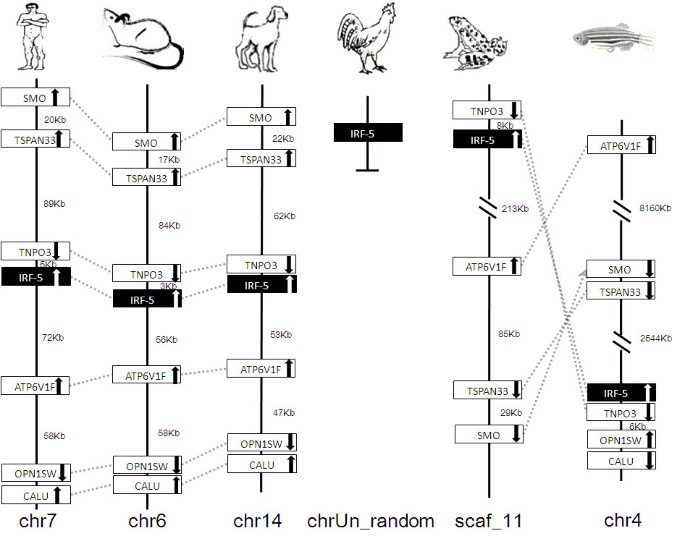 figure 20