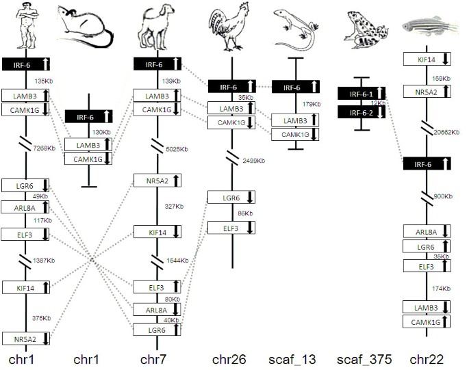 figure 21