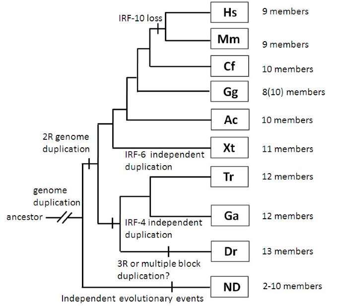 figure 26