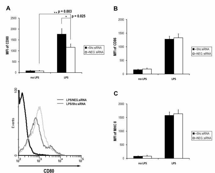 Adaptor protein Shc acts as an immune-regulator for the LPS-stimulated  maturation of bone marrow-derived dendritic cells | BMC Immunology | Full  Text