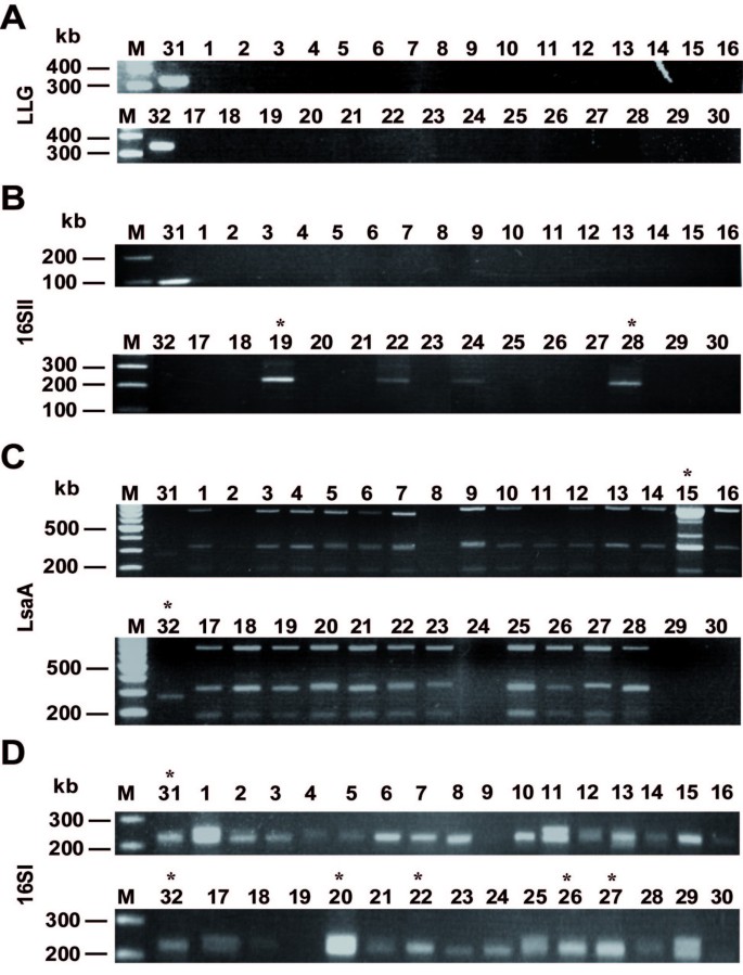 Human inflammatory bowel disease does not associate with Lawsonia  intracellularis infection | BMC Microbiology | Full Text