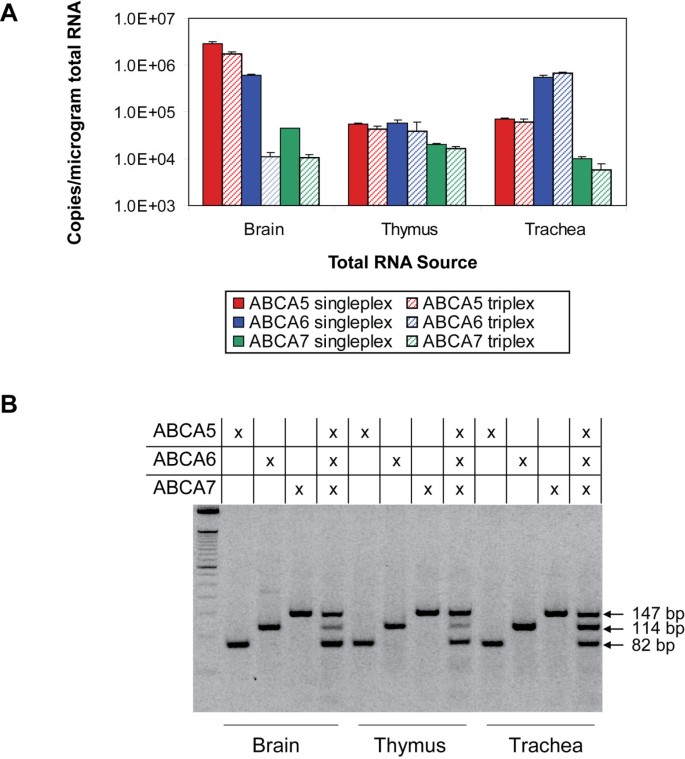 Selective control of primer usage in multiplex one-step reverse  transcription PCR | BMC Molecular Biology | Full Text