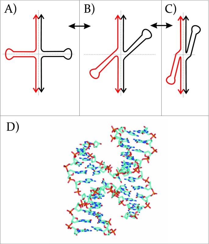 bmc molecular biology biomed central