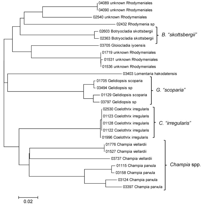 figure 27