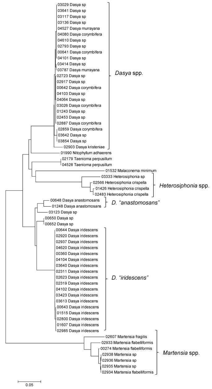 figure 31