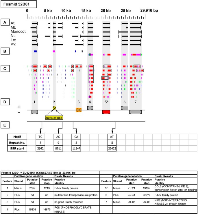 figure 15