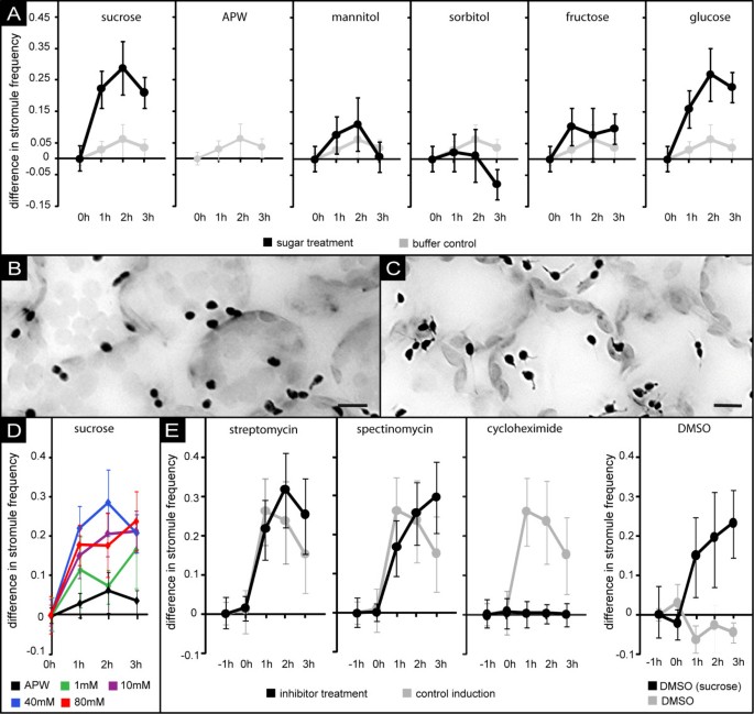 figure2