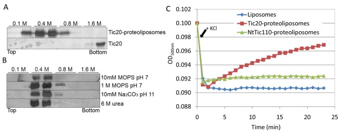 figure5